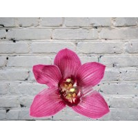 Орхидея Цимбидиум (колокольчик) Красная на колбе (удлинитель)
