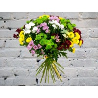 Bouquet of bush chrysanthemums mix
