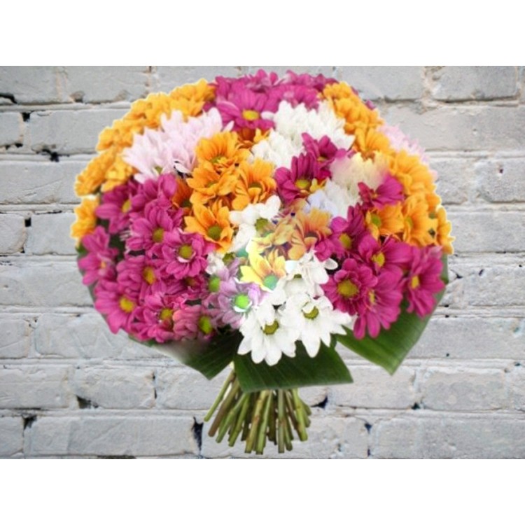Sale Bouquet of 21 chrysanthemums
