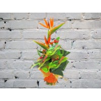 Men's bouquet with strelitzia and kraspedia
