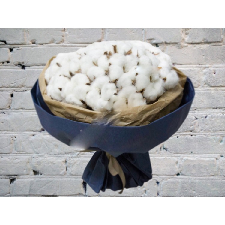 Букет из Хлопка (Сухоцвет)
