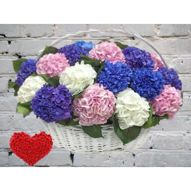 Корзина Гортензий
