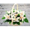 Корзинка с Орхидеями белыми
