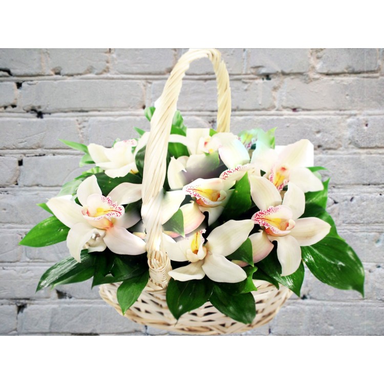 Sale Basket with white Orchids
