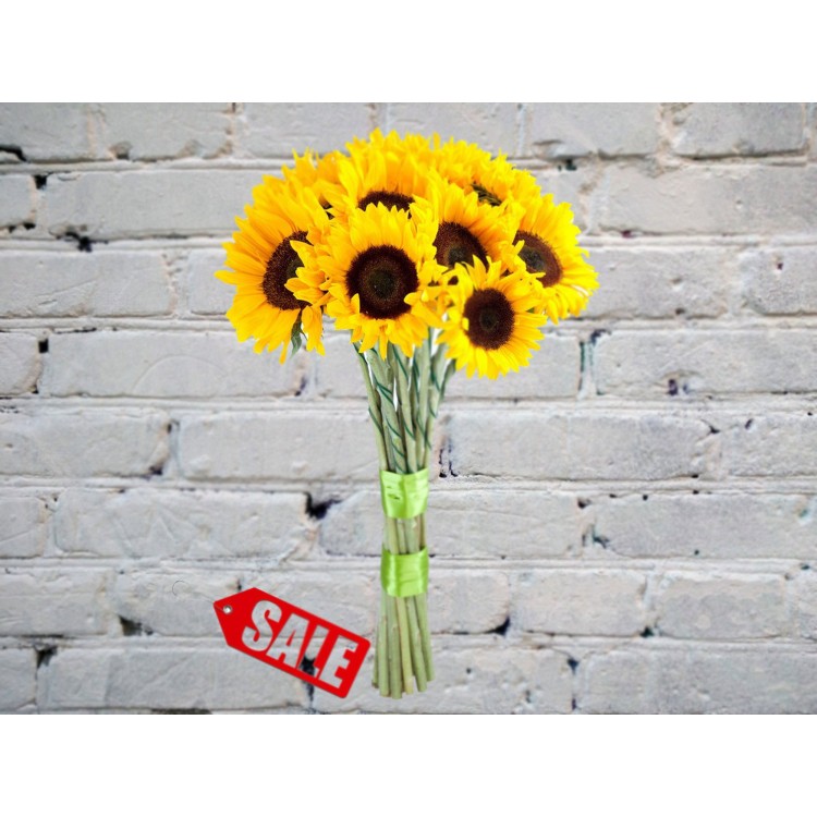 Букет СОЛНЫШКО из 15 Подсолнухов!
