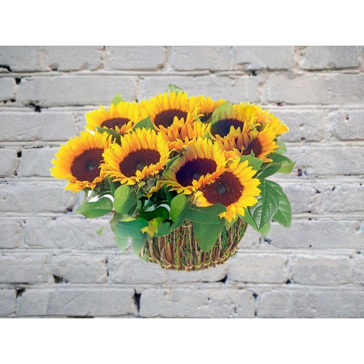 Букет из 9 подсолнухов в корзине
