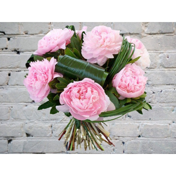 Великолепные Пионы в оформлении
