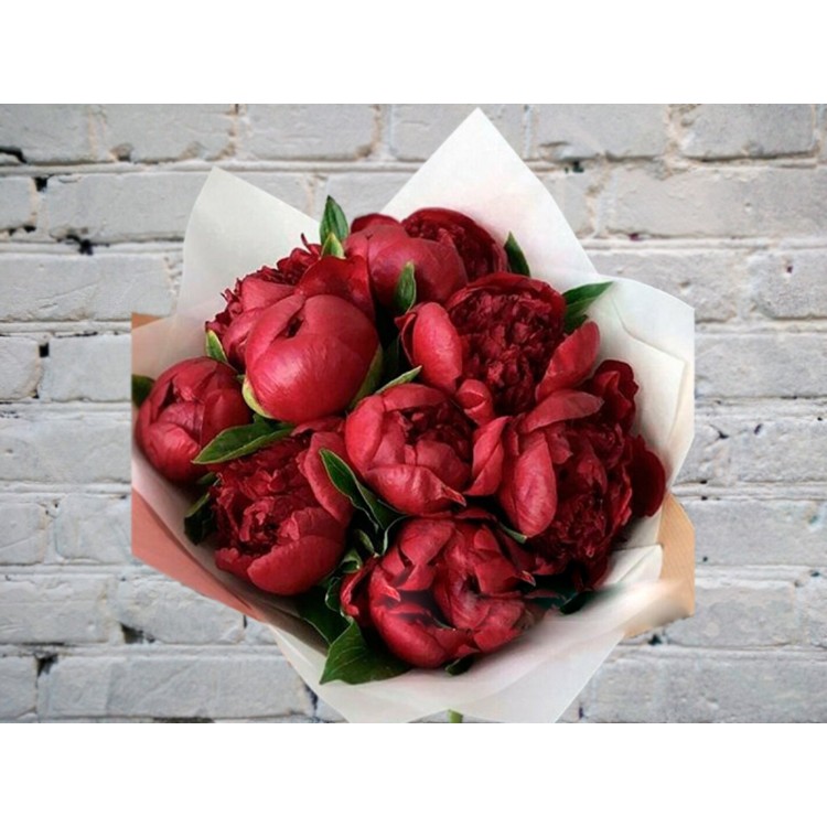 Букет Бордовых Пионов №10
