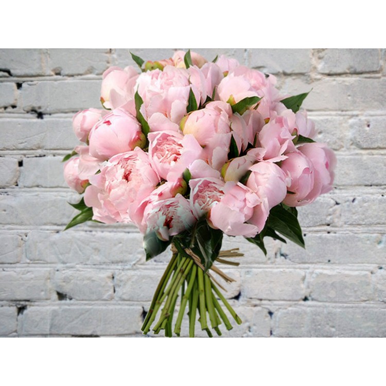 Букет из розовых пионов
