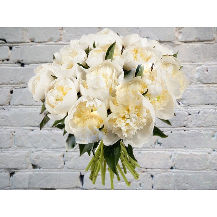 Букет с 21 белого пиона
