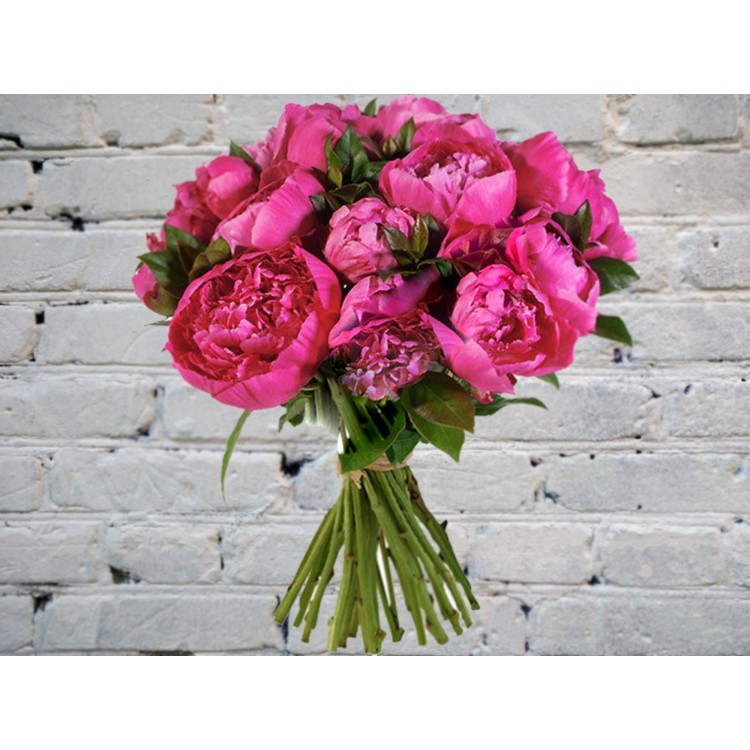 Sale Bouquet of cyclamen peonies
