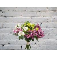 Букет из Красивых Разноцветных Альстромерией
