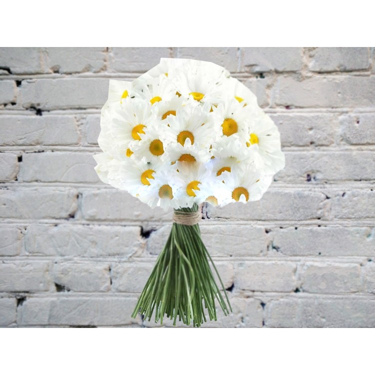 Sale Alstroemeria violet
