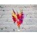 Sale Bouquet of multicolored gladioli in a vase