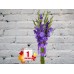 Sale Bouquet of Purple Gladioli