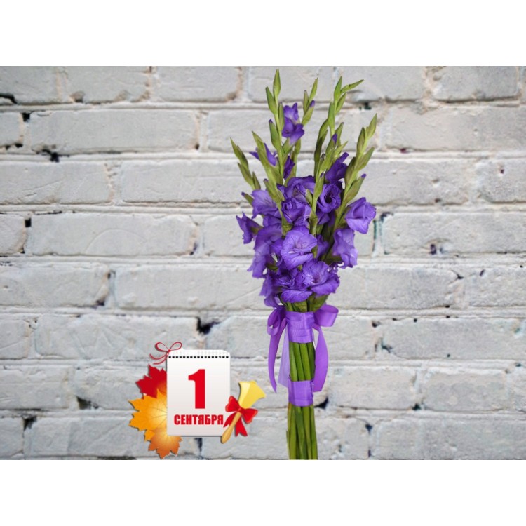 Sale Bouquet of Purple Gladioli
