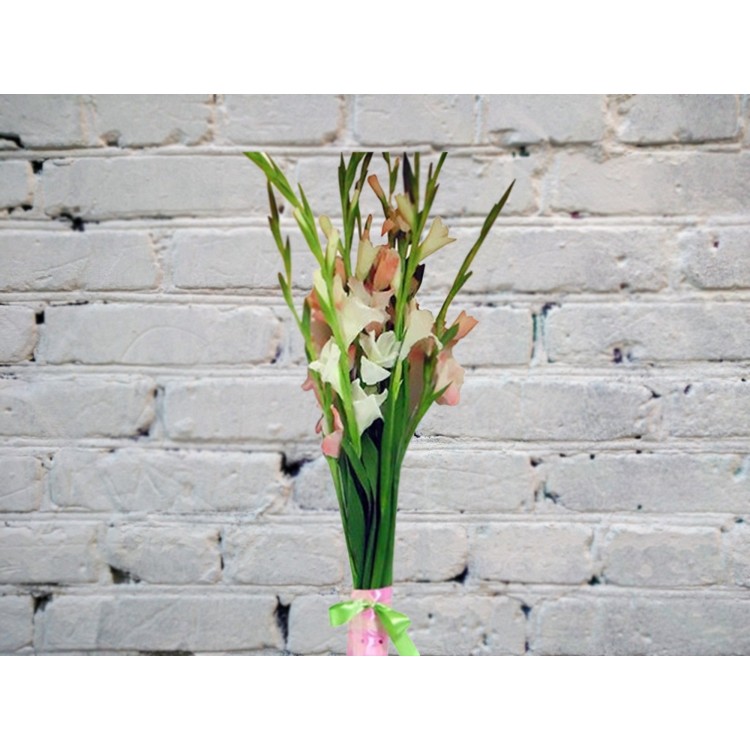 Букет из розовых и белых гладиолусов
