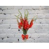 Bouquet of 9 red gladioli in a vase
Bouquet of 9 red gladioli in a vase