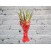 Sale Bouquet of white, pink and red gladioli