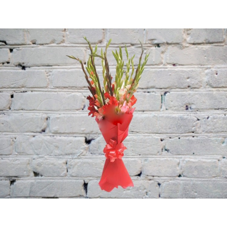 Букет белых, розовых и красных гладиолусов
