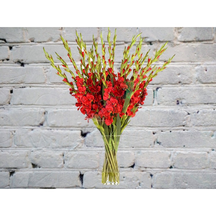 Букет из 19 гладиолусов в вазе
