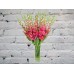 Sale Bouquet of 19 pink gladioli in a vase