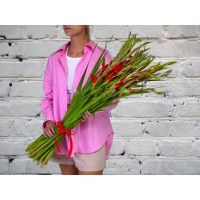 Большой Букет Красных Гладиолусов в Атласной ленте
