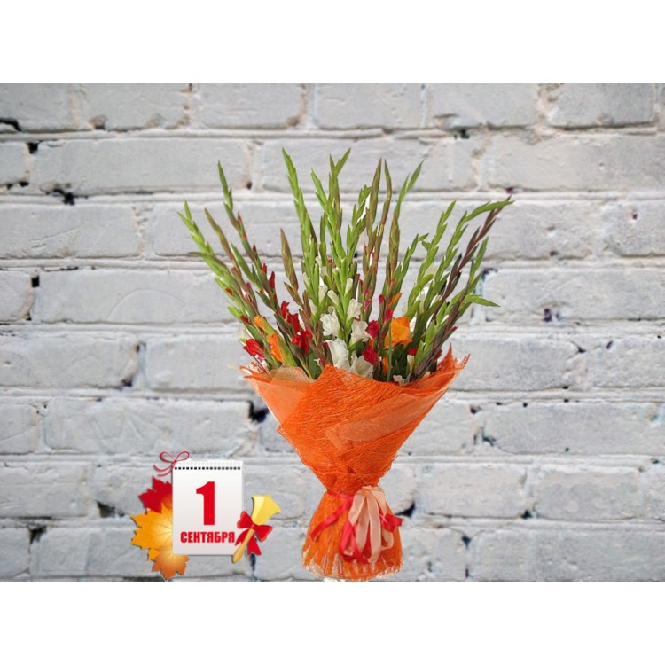 Букет из Разноцветных Гладиолусов
