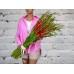 Sale A Huge Bouquet of Red Gladioli in a Satin ribbon