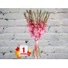 Bouquet of Pink Gladioli
Bouquet of Pink Gladioli