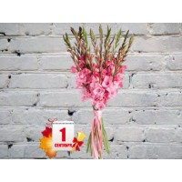 Букет из Розовых Гладиолусов
