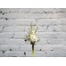 Sale Bouquet of 11 white gladioli