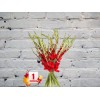 Букет из Красных Гладиолусов
