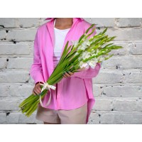Bouquet of White Gladioli in a Satin ribbon
Bouquet of White Gladioli in a Satin ribbon