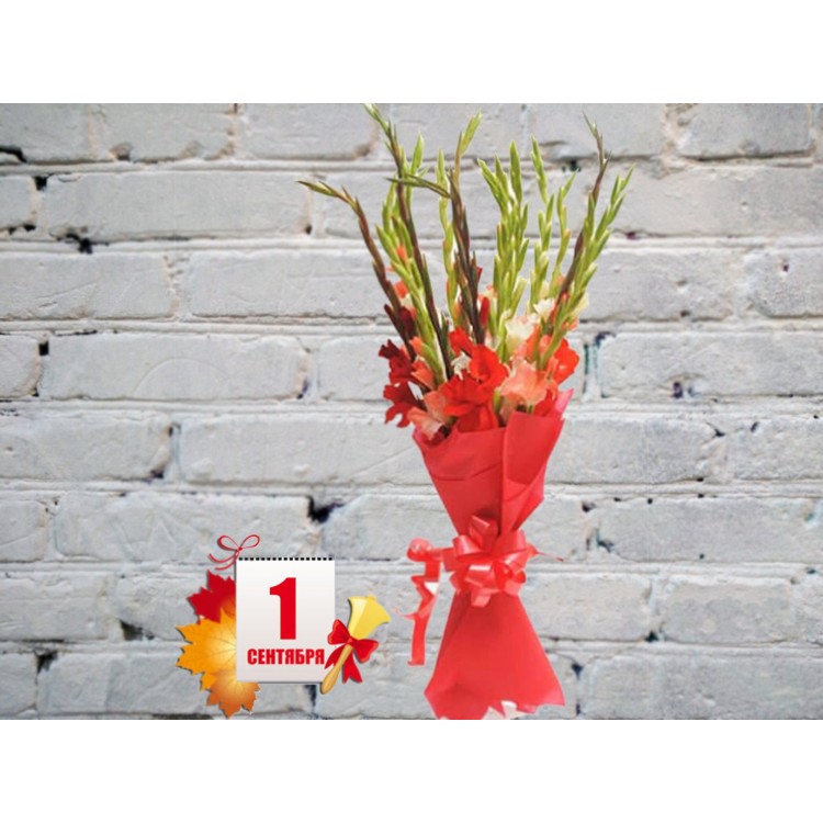 Букет из Разноцветных Гладиолусов в красном фетре
