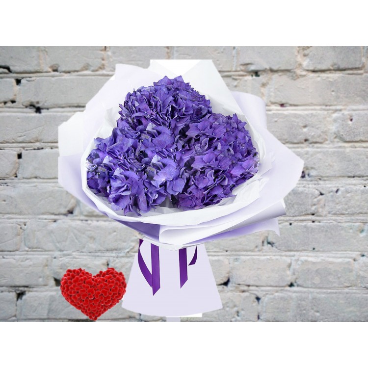 Sale Bouquet of Hydrangeas in a package
Sale Bouquet of Hydrangeas in a package