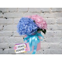 Коробочка с Гортензиями
