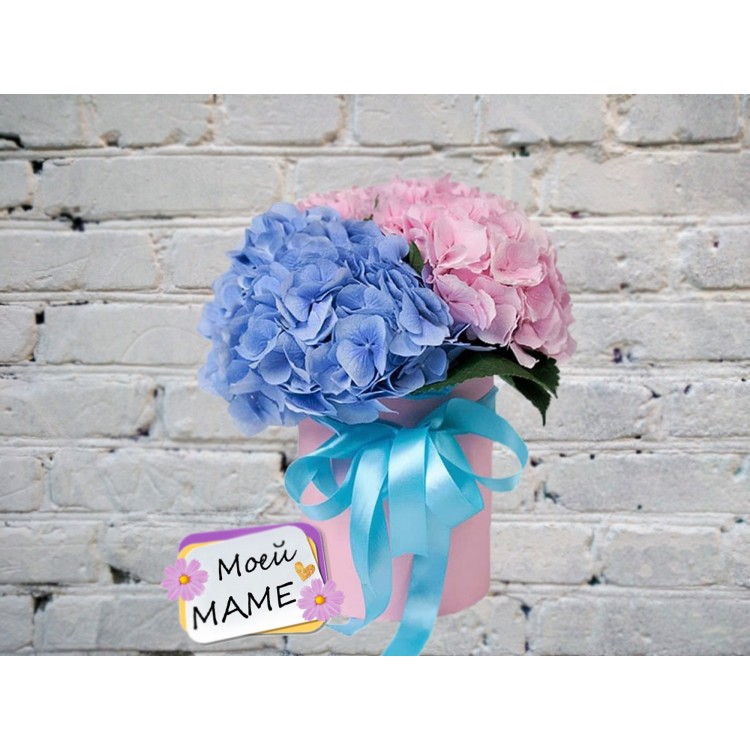 Sale Box with Hydrangeas
