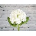 Sale White Hydrangea