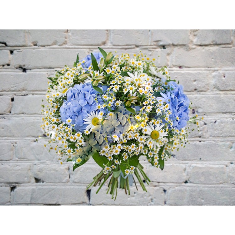 Sale Bouquet of blue hydrangeas and daisies
