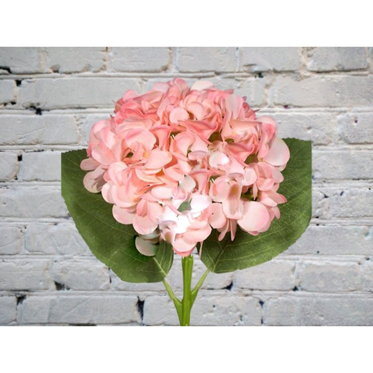 Sale Pink hydrangea

