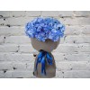 Hydrangea in a Matte LUX Package
