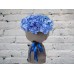 Sale Hydrangea in a Matte LUX Package