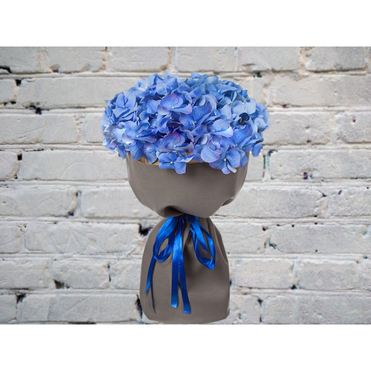 Sale Hydrangea in a Matte LUX Package
