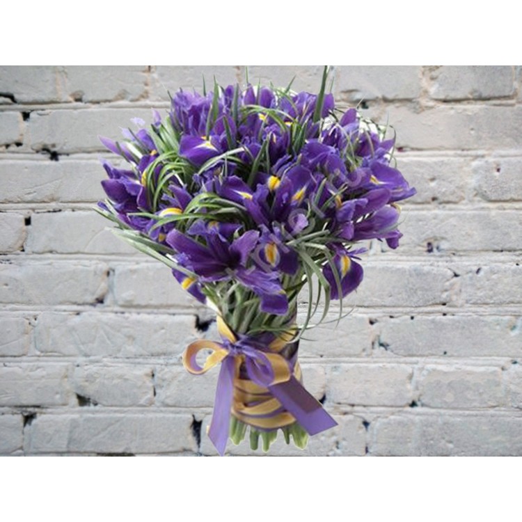 Sale Bouquet of 35 blue irises
