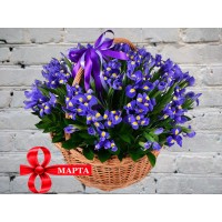 Корзина с Ирисами
