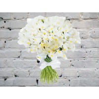 Букет из белых ирисов
