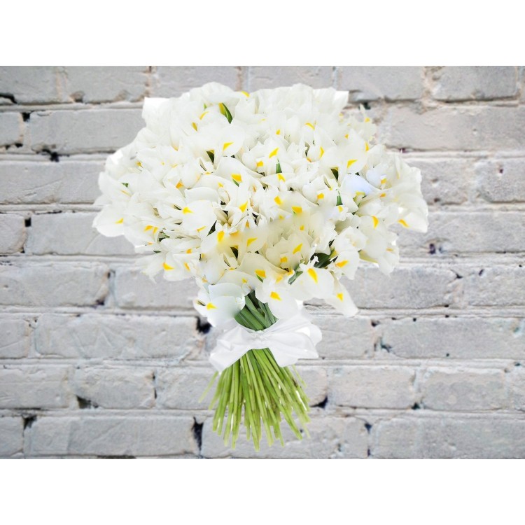 Букет из белых ирисов
