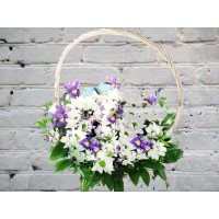 Корзинка с Белыми Кустовыми Хризантемами
