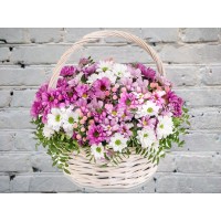 Корзинка с Нежными Ромашковыми Хризантемами
